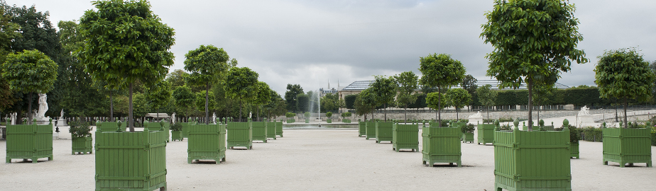 Chateau de Versailles Boxes in the Tuileries Garden